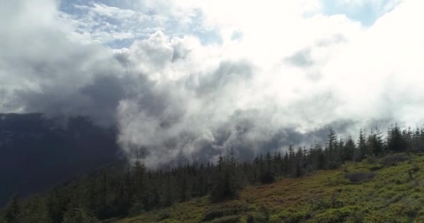 Güzel dağ tepelerinin yağmur sonra hava fotoğrafçılığı — Stok video