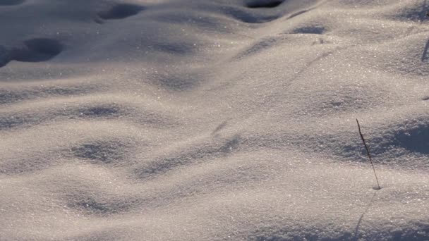 Toprak karla kaplı — Stok video