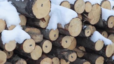 Ahşap günlükleri Panoraması kar ile serpilir