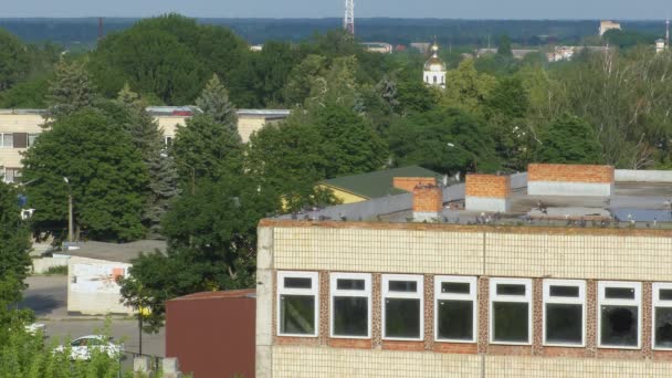 Ein Schwarm Tauben Auf Dem Dach Eines Hohen Hauses — Stockvideo