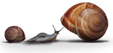 Upsizing moving from a smaller home to a bigger house as a snail leaving on older smaller shell towards a spacious roomy improvement in a 3D illustration style. clipart