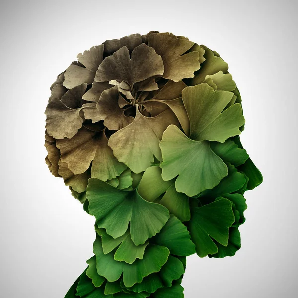 認知症と記憶喪失や脳加アルツハイマー病による医療アイコン イチョウ葉のコンセプトは 頭部の イラスト スタイルとして形 — ストック写真