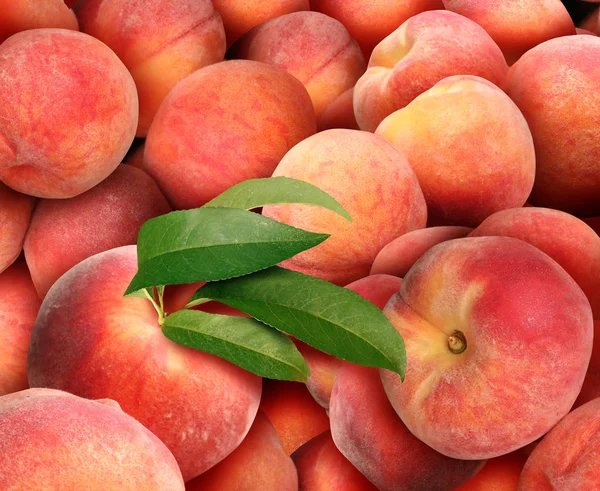 Peach background with a pile of fresh juicy ripe peaches as a summer fruit harvest.