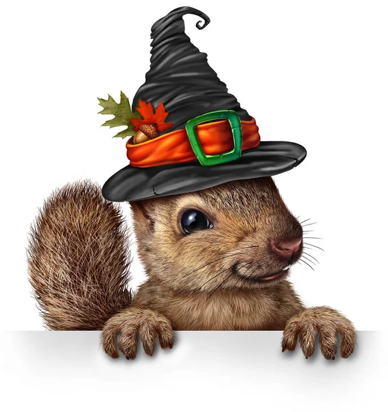 お祭りの秋と秋休日季節 エレメントと感謝祭のシンボルと空白記号を保持している不気味な魔女の帽子をかぶってかわいい幸せな野生生物としてハロウィーンお祝いリス空白記号概念 — ストック写真