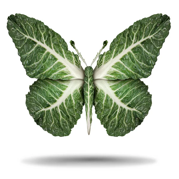 Veganes Grünes Blättersymbol Und Veganismus Oder Vegetarisches Konzept Als Pflanzliche — Stockfoto