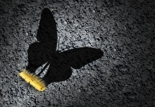 Aspiration Concept Ambition Idea Caterpillar Casting Shadow Odf Butterfly Achievement — Stock Photo, Image