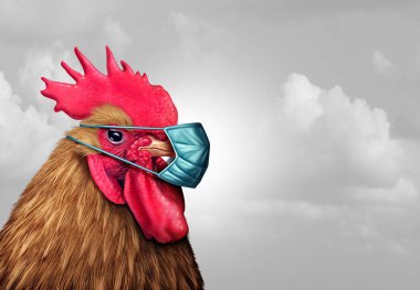 Biosecurity concept and quarantine biohazard danger as a chicken with a germ surgical mask as a health care infectious disease idea in a 3D illustration style. clipart