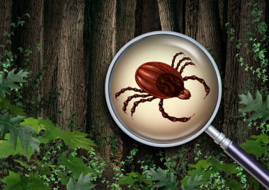 Ticks forest warning as a close up of a scary illness carrier bug as a risk for lyme disease in the wild with 3D illustration elements. clipart
