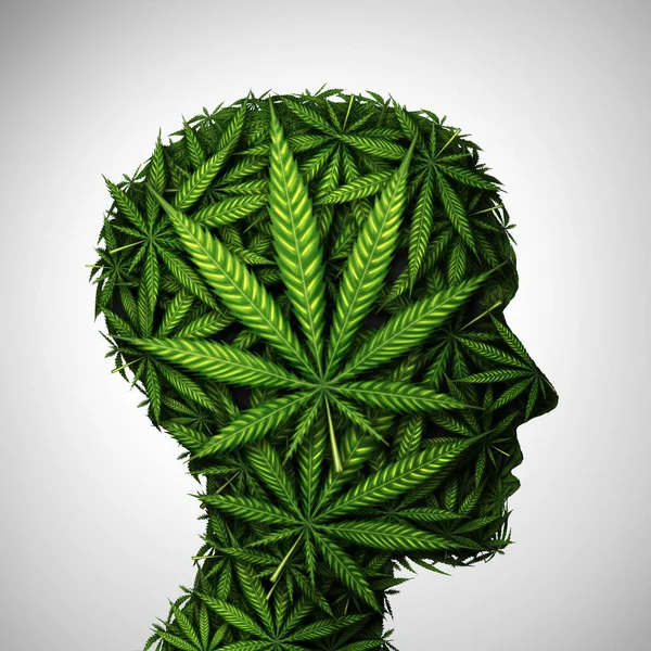 大麻头和大麻消费符号作为一个人脸由杂草叶子作为一个壶或草药患者和影响心理学或毒贩概念在3D 插图风格 — 图库照片