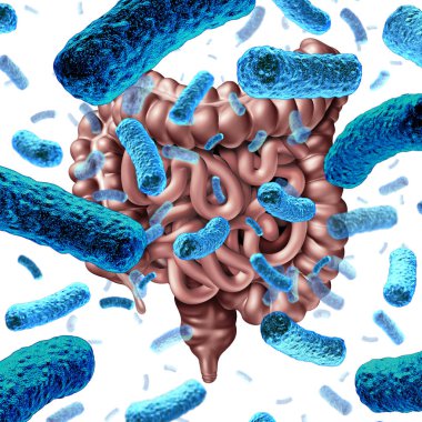 Gut bacteria as probiotic bacterium inside small intestine and digestive microflora inside the colon or bowel as a health symbol for microbiome as a 3D render. clipart