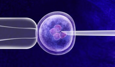 Gene editing in vitro genetic CRISPR genome engineering medical biotechnology health care concept with a fertilized human egg embryo and a group of dividing cells as a 3D illustration. clipart