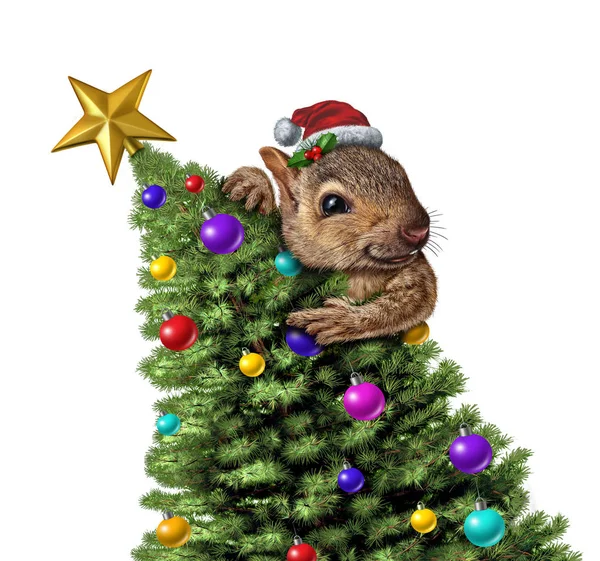 Vtipné Veverka Zdobí Vánoční Stromeček Jako Zimní Dovolená Pozdrav Ikonu — Stock fotografie