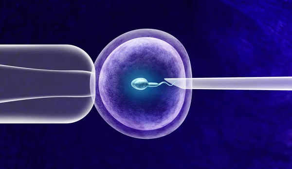 体外受精或 Ivf 生育治疗和人工授精与人类卵细胞和精子帮助不孕不育问题作为3D — 图库照片