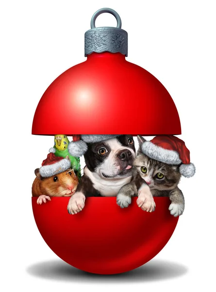 Rolig Sällskapsdjur Dekoration Holiday Jul Bollen Med Hund Katt Undulat — Stockfoto