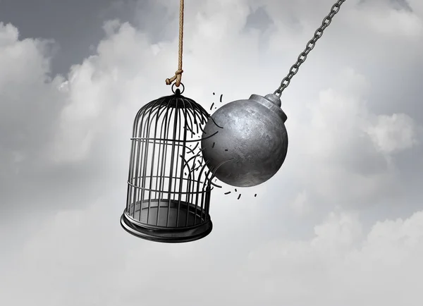 Freiheitskäfig Und Break Free Konzept Als Abrissbirne Die Einen Vogelkäfig — Stockfoto