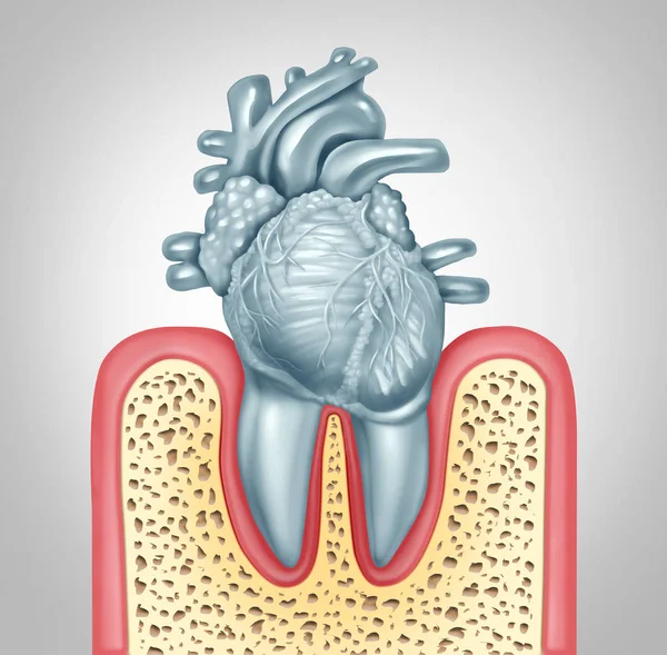 牙齿护理或口腔健康和心脏病卫生概念所引起的牙菌斑和牙龈感染的口腔细菌损坏的阀门作为牙齿形状的心血管器官作为3D — 图库照片