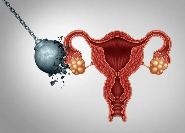 Fertilidad femenina fuerte —  Fotos de Stock