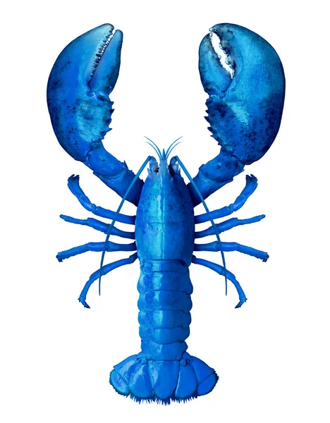 Blue Lobster Isolated — Stock Photo, Image