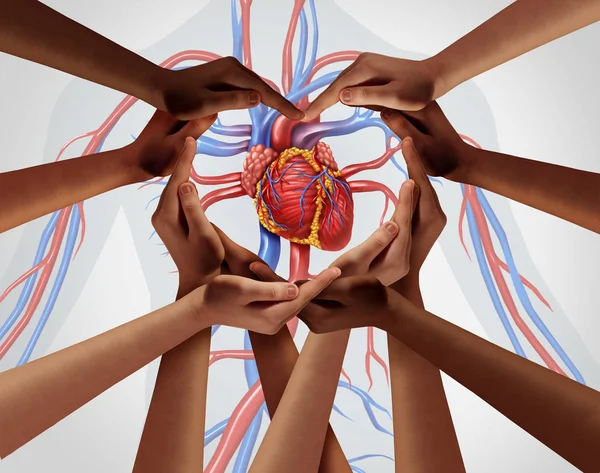 Human Heart Group Support — Stock Photo, Image