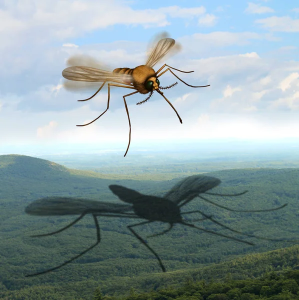 Peligro de mosquito — Foto de Stock