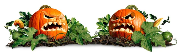 Parche de calabaza de Halloween — Foto de Stock