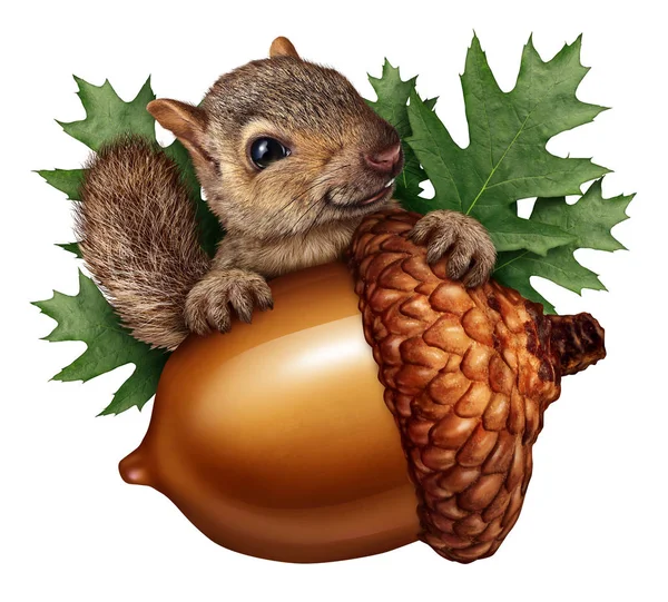 Carino scoiattolo mais isolato — Foto Stock
