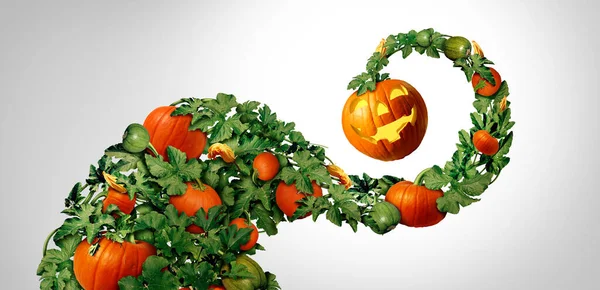 Halloween Happy Pumpkin Leaves Autumn Holiday Festive Jack Lantern Decorative — Stock Photo, Image