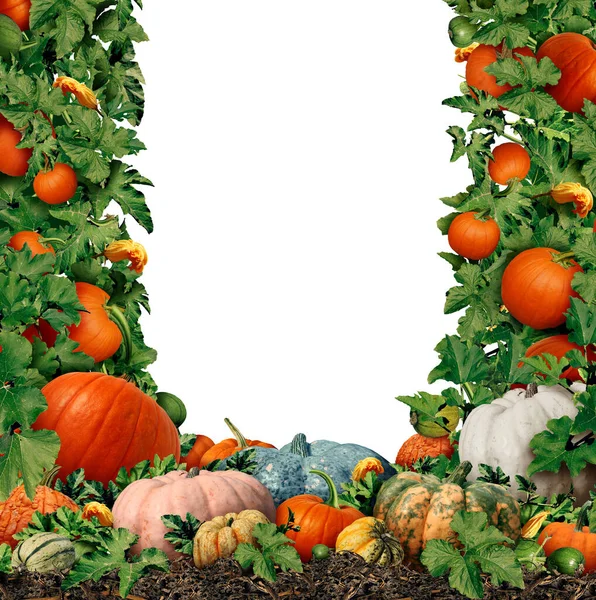 秋の収穫は カボチャのファームボーダーデザインとしての空白のフレーム秋の季節のディスプレイと感謝のシンボルとして新鮮な果物と屋外ファーマーズマーケットとして収穫スカッシュ — ストック写真