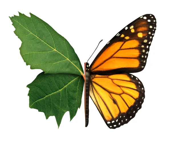 Habitat Symbol Und Ökologie Konzept Als Blatt Und Schmetterling Isoliert — Stockfoto