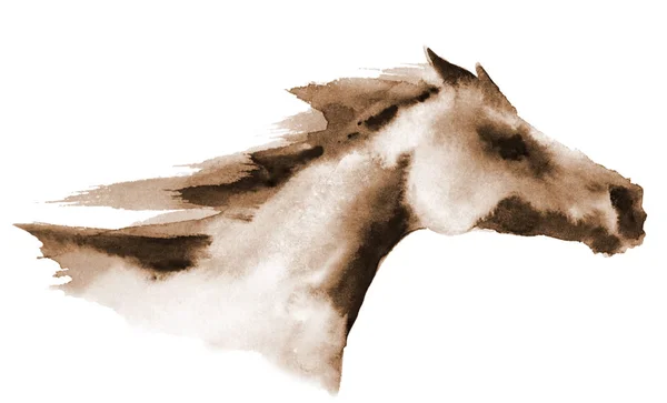 Tête Aquarelle Cheval Galopant Sur Blanc Illustration Équestre Peinte Main — Photo