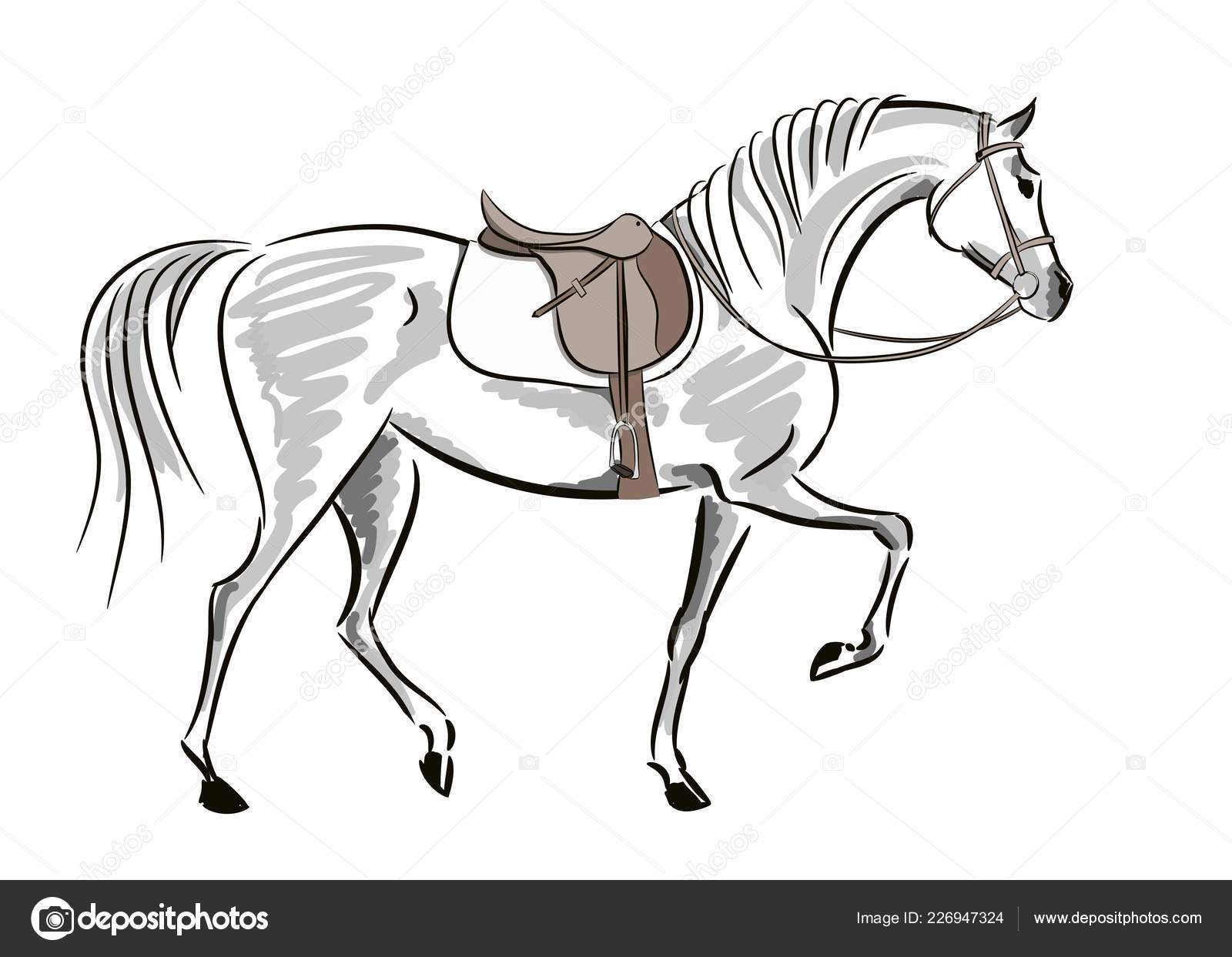 Tennessee andando a cavalo salto equestre, desenhos de boné de formatura,  cavalo, branco, mamífero png