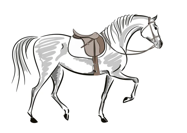 Όμορφο Άλογο Κίνηση Σέλα Και Χαλινάρι Αλεπού Αγγλικό Ιππικό Άθλημα — Διανυσματικό Αρχείο