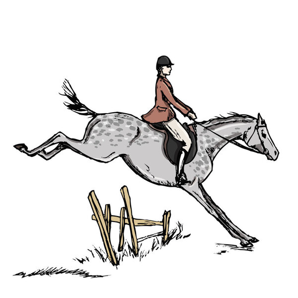 Horseman horse rider. English style jumping horseback man. Riding male on dapple grey horse. Hand drawing vector vintage art isolated on white in engraving style. England fox hunting steeplechase 