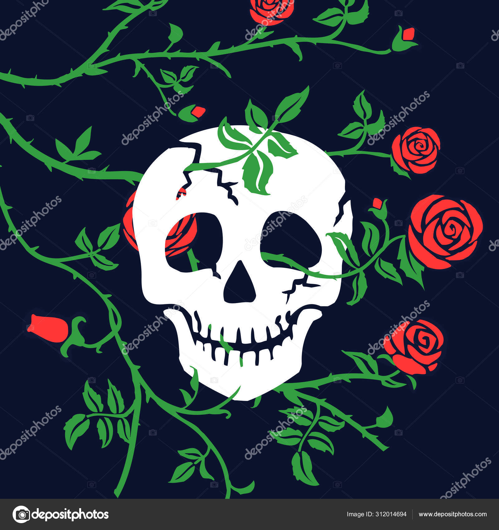 哥特式头骨或颅骨在黑暗的背景上升花卉黑色插图与红色攀爬卷曲花和荆棘死亡日迪亚德缪尔托或万圣节假期, image size:1600x1700
