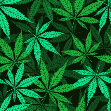 Esrar vektörü, siyah arka planda yeşil yaprağın pürüzsüz deseni. Çizgi filmdeki el marihuana çimi ya da kenevir bitkisi dokusu çiziyor. Bitkisel bitki örtüsü üst görünüm duvar kağıdı, kapak