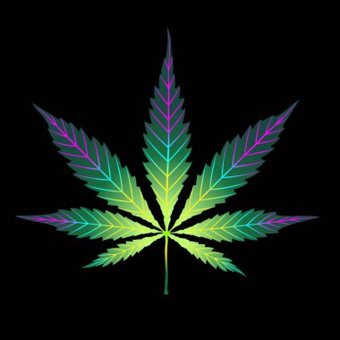 Esrar renkli yaprak siyaha izole edilmiş. Şekil veya siluet bitkisel doğa sembolü. Vektör karikatür el parlak gökkuşağı logosu, çok renkli marihuana otu veya kenevir bitkisi çiziyor. 