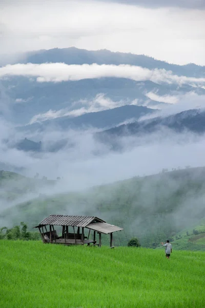 Misty morning — Stock Photo, Image