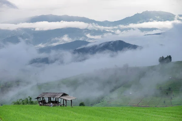 Pagi yang berkabut — Stok Foto