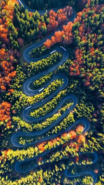 Karpaterna Rumänien Vindlande Väg Höst Skogslandskap Bergslandskap Stockbild