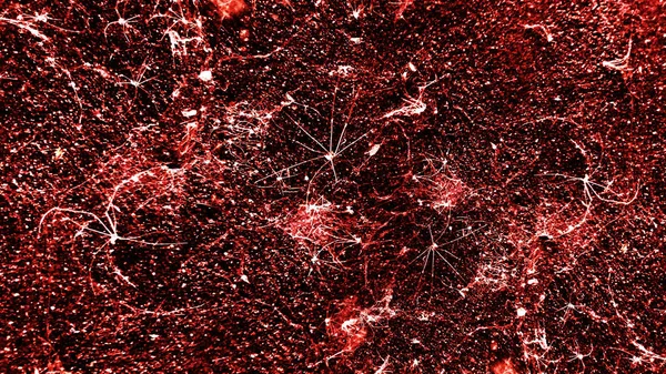 eski kırmızı örümcek ağlarını virüsü biohazard duvar görünüşe üzerinde