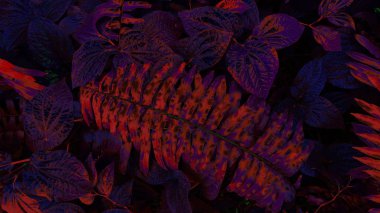 Karanlık arka planda tropikal yaprak ormanı parlıyor. Yüksek karşıtlık.