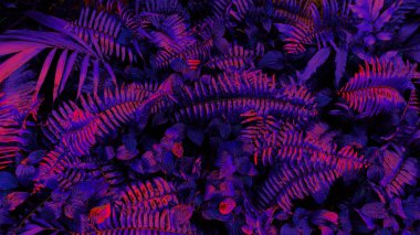 Karanlık arka planda tropikal yaprak ormanı parlıyor. Yüksek karşıtlık.