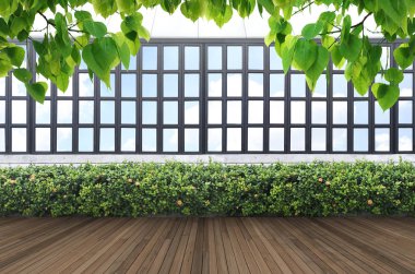 Kırpma yoluyla tropikal yaprak yeşil duvar ve pencere çerçeve.