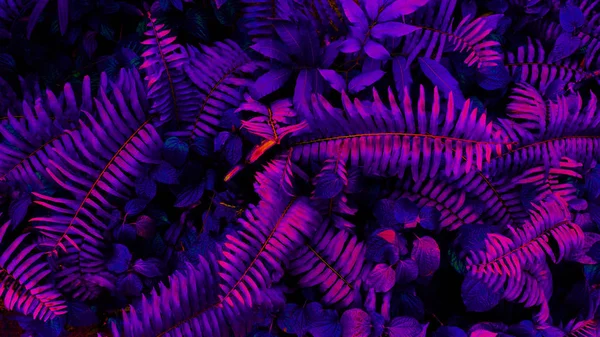 Tropical Leaf Forest Glow Black Light Background High Contrast — Stock Photo, Image