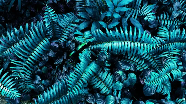 Karanlık arka planda tropikal yaprak ormanı parlıyor. Yüksek karşıtlık.