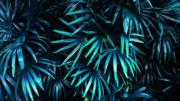 Trópusi Levél Erdő Világít Sötét Háttérben Erős Kontraszt — Stock Fotó