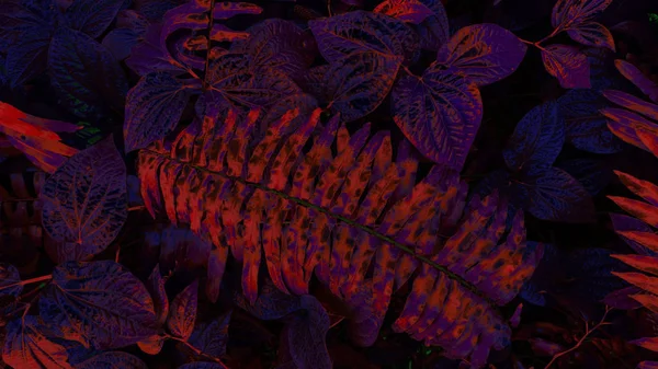 Karanlık arka planda tropikal yaprak ormanı parlıyor. Yüksek karşıtlık.