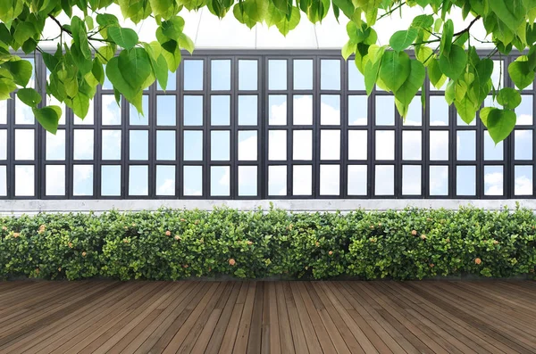 Kırpma yoluyla tropikal yaprak yeşil duvar ve pencere çerçeve.