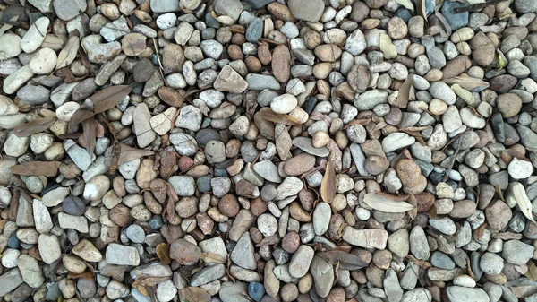 Грязные Камни Листья — стоковое фото