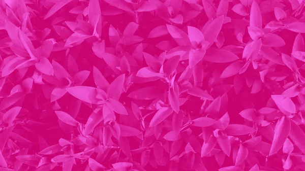 Вертикальний Сад Тропічним Рожевим Листям Контрастний — стокове фото